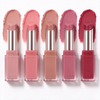 Organic Vegan Moisturizing Lip Balm with Sugar & Honey Herbal Infused Light Sheer Solid Lipstick
