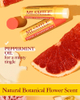 Luxurious 4-Piece Lip Care Set Fashion-Forward Lipstick Vitamin E Mineral Creamy Shimmer Long Lasting Moisturizing Lip
