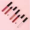 Velvet Vegan Sexy Nude Lip Tint Long-Lasting Moisturizing Non-Stick Cup Lip Gloss Women Matte Makeup Cosmetic Liquid Wholesale