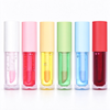 Private Label 6 Shades Fruit Scent Lip Gloss Hydrating Nourishing Color Changing Lip Oil Tint