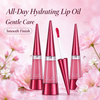 Private Label Long Lasting Shiny Lip Oil Lightweight Non Sticky Vitamin E Lip Care